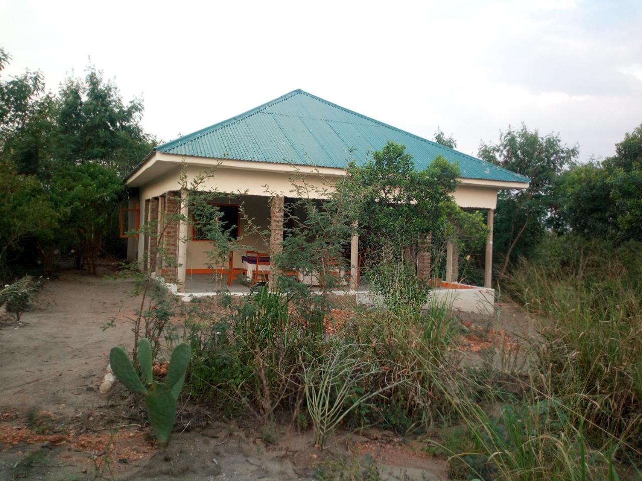 The Elephant Home Katunguru المظهر الخارجي الصورة