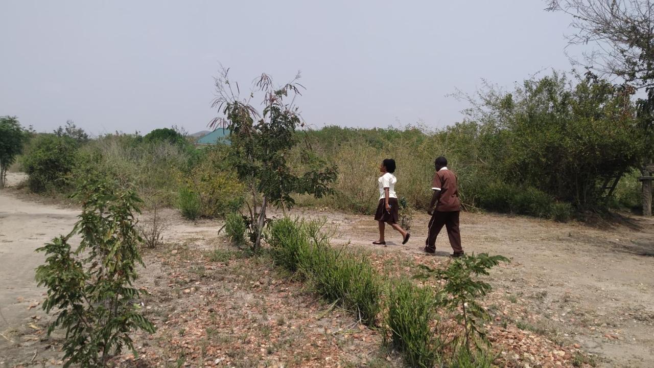 The Elephant Home Katunguru المظهر الخارجي الصورة